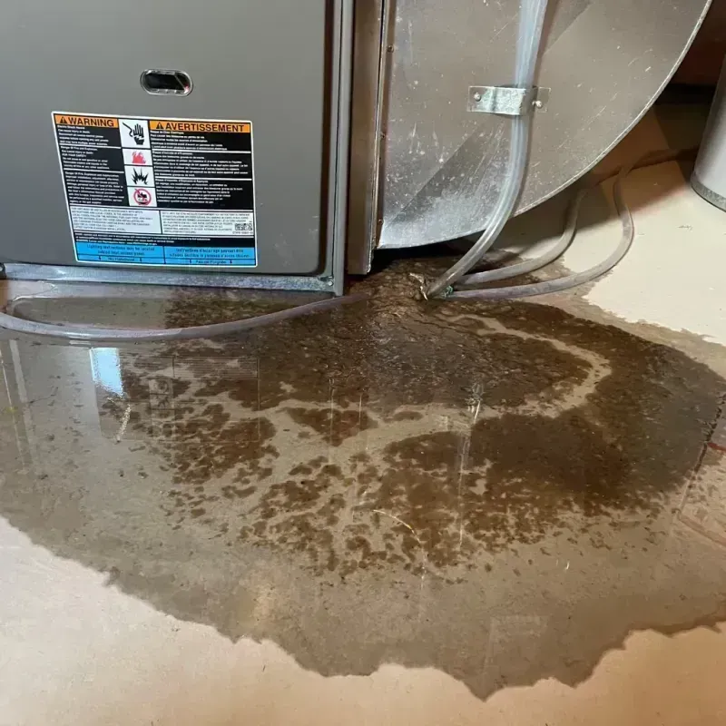 Appliance Leak Cleanup in Carbonville, UT